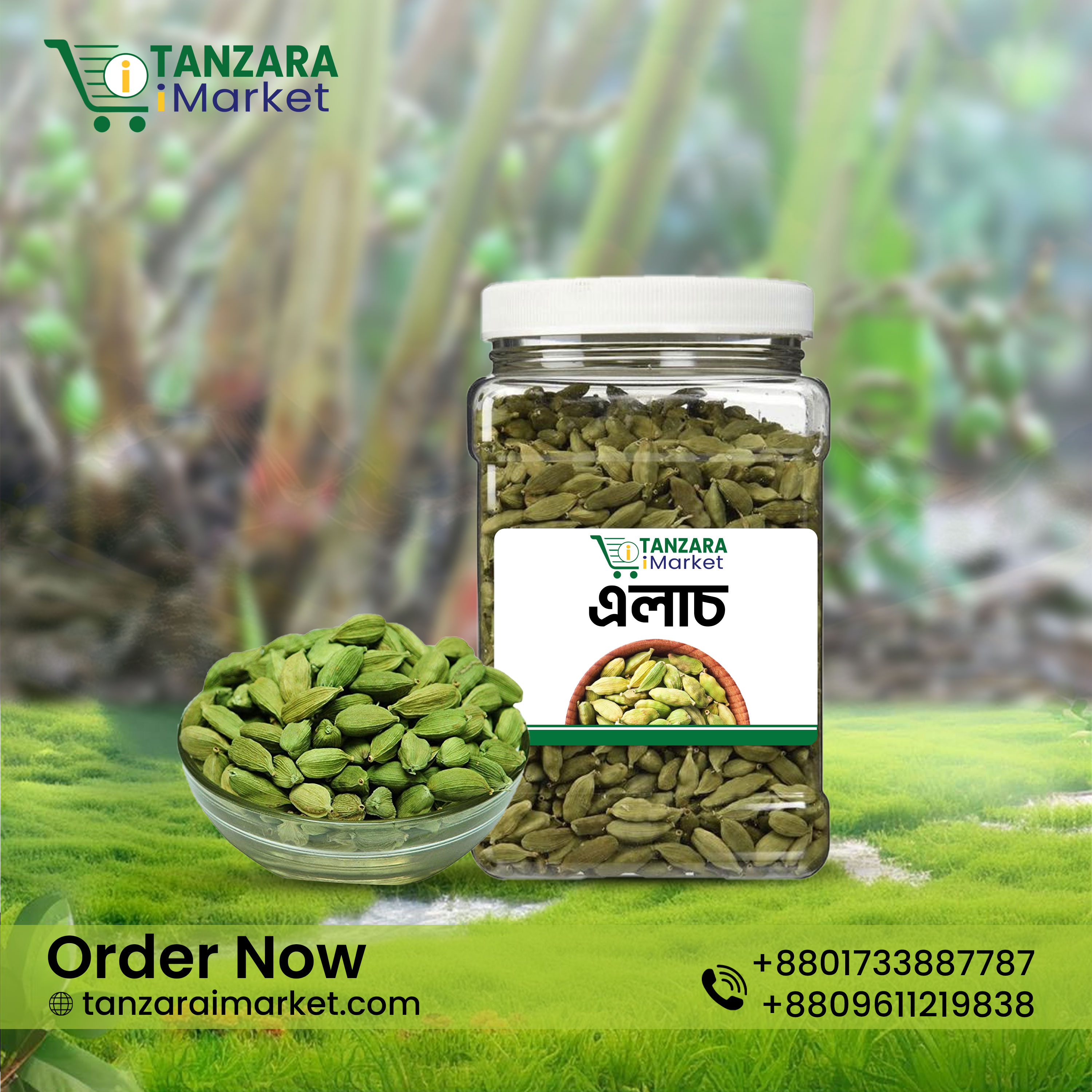 এলাচি